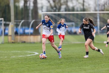 Bild 124 - wBJ Hamburger SV - Eimsbuettler TV : Ergebnis: 4:0